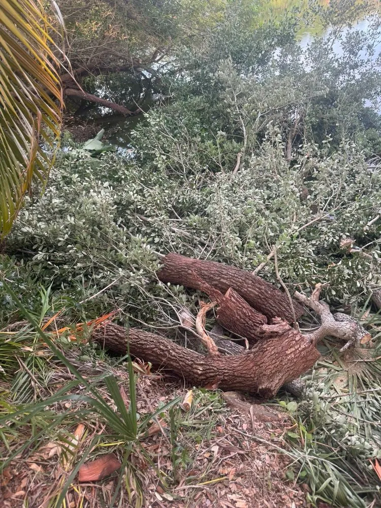 Top-rated outdoor landscaping in Pine Hills, FL by Gladiator Landscaping and Tree Service