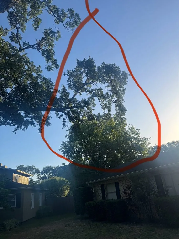 Custom landscaping services in Pine Hills, FL by Gladiator Landscaping and Tree Service