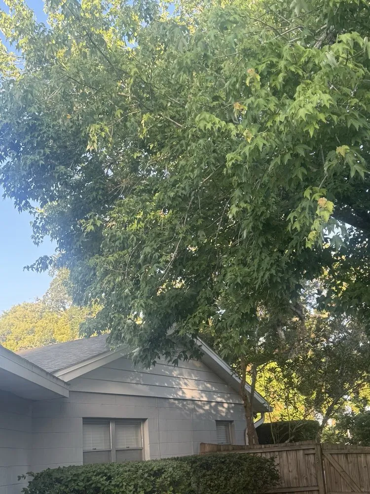 Affordable residential landscaping in Pine Hills, FL by Gladiator Landscaping and Tree Service