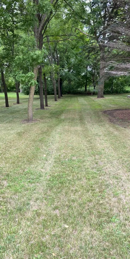 Professional lawn mowing service in Saint Paul, MN - Gladiator Lawn And Snow Service