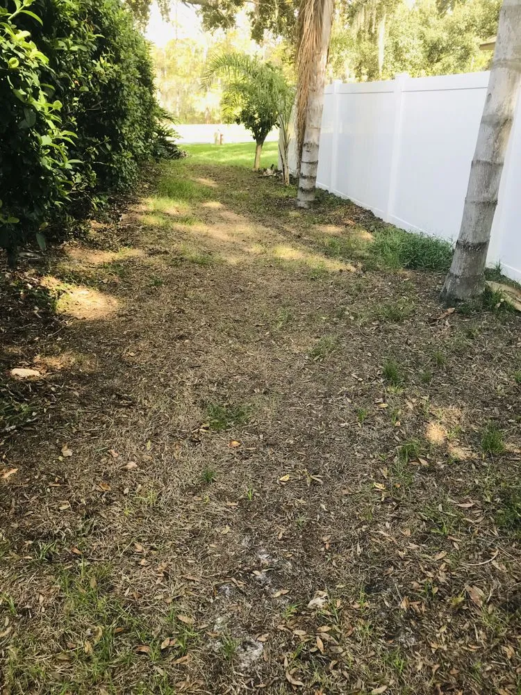 Reliable landscaping services for beautiful yards in New Port Richey, FL by Gladiator Sod