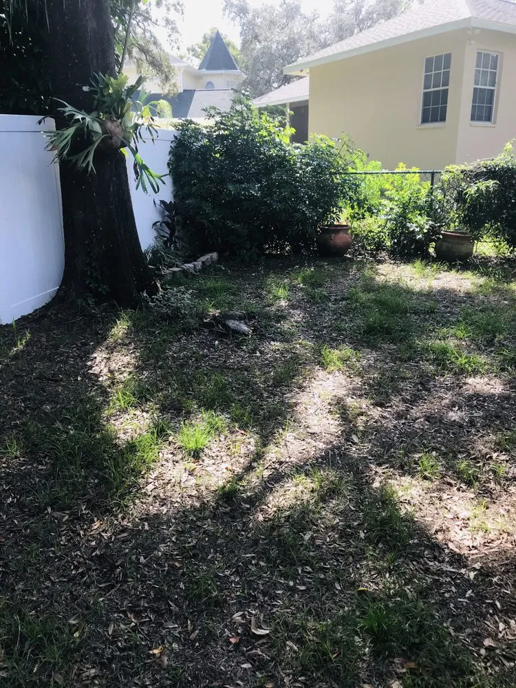 Affordable landscape design with custom design across New Port Richey, FL - Gladiator Sod