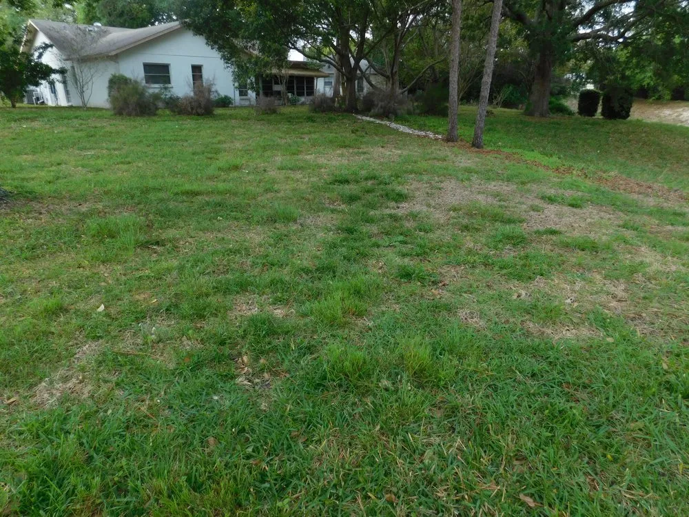 Custom landscape design in New Port Richey, FL - Gladiator Sod