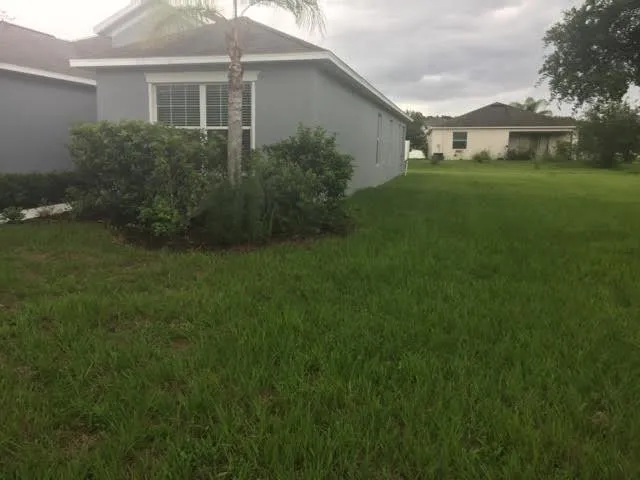 Expert lawn care service in New Port Richey, FL - Gladiator Sod