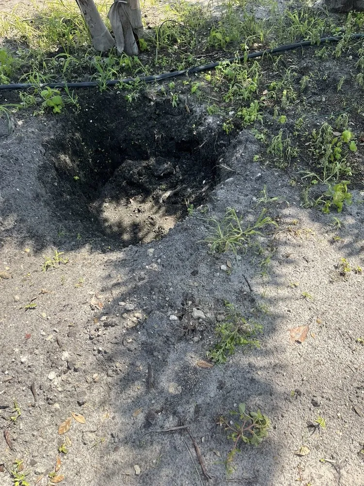 Reliable landscaping services for homes in New Port Richey, FL by Gladiator Sod