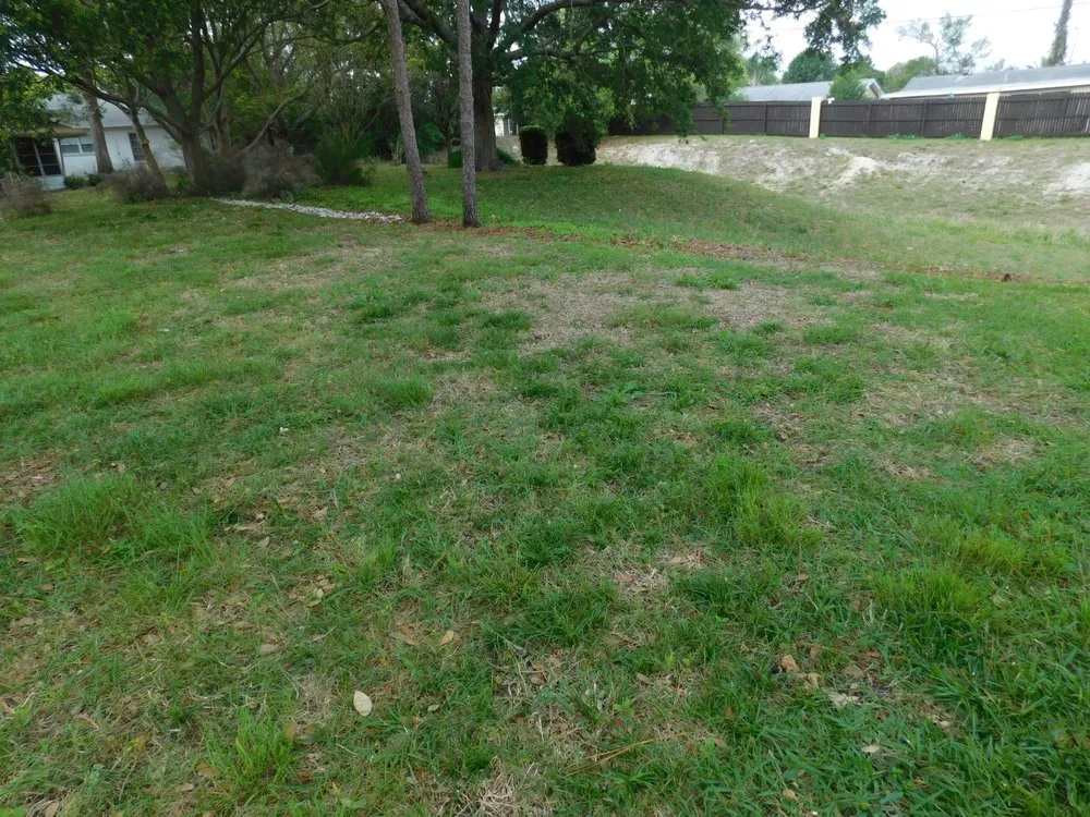 Top-rated yard maintenance for homes across New Port Richey, FL - Gladiator Sod