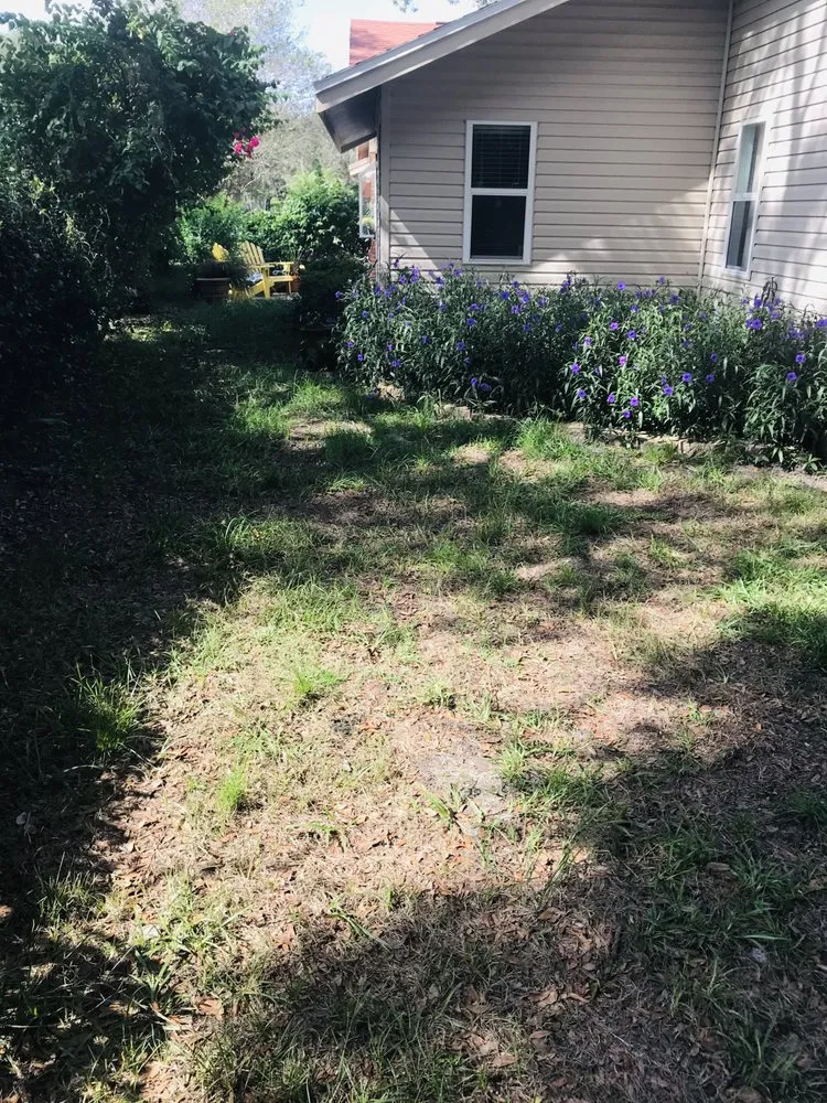 Trusted landscaping services for beautiful yards in New Port Richey, FL by Gladiator Sod