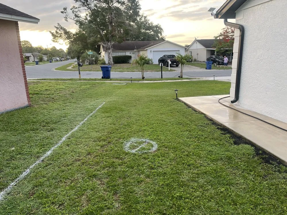 Local lawn care service experts serving New Port Richey, FL - Gladiator Sod