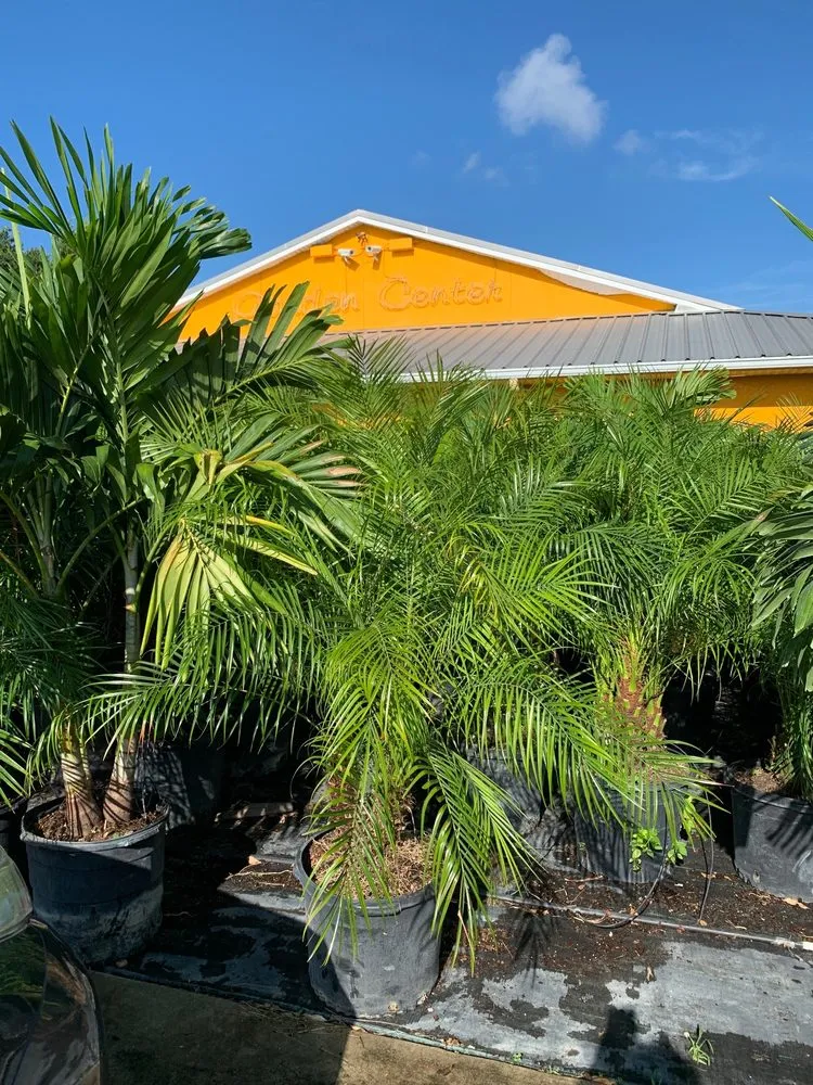 Affordable landscape installation in New Port Richey, FL - Gladiator Sod