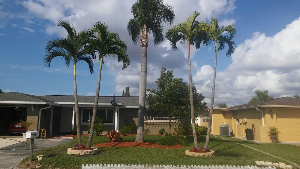 Affordable lawn care service experts serving New Port Richey, FL - Gladiator Sod