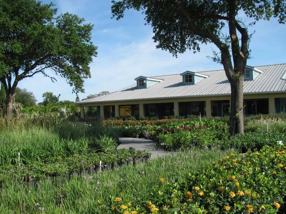 Reliable yard cleanup service for year-round maintenance across New Port Richey, FL - Gladiator Sod