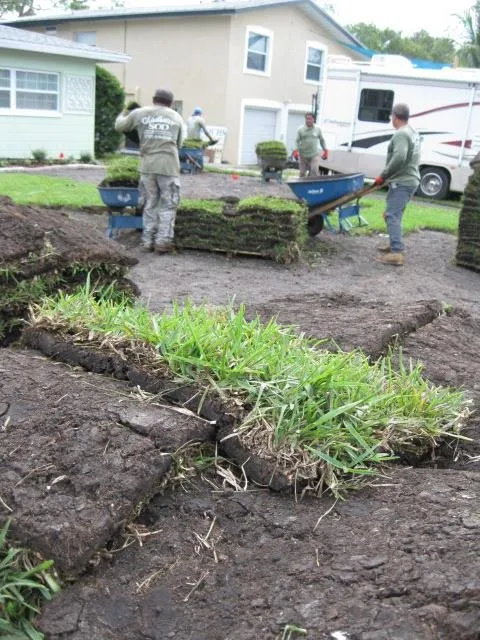 Affordable garden landscaping experts serving New Port Richey, FL - Gladiator Sod