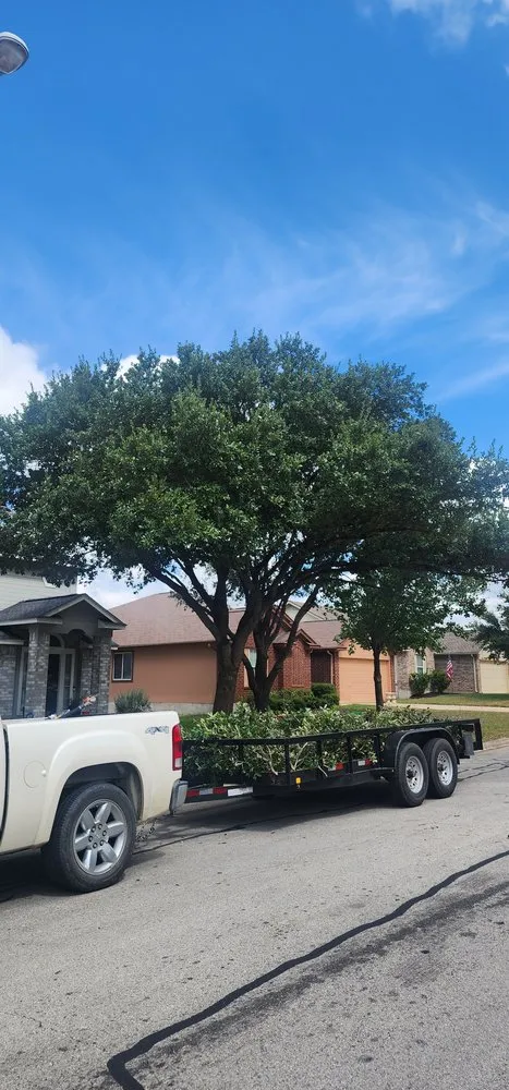 Affordable yard cleanup service for outdoor upgrades in Manor, TX by Gladiator Tree Experts & Landscaping