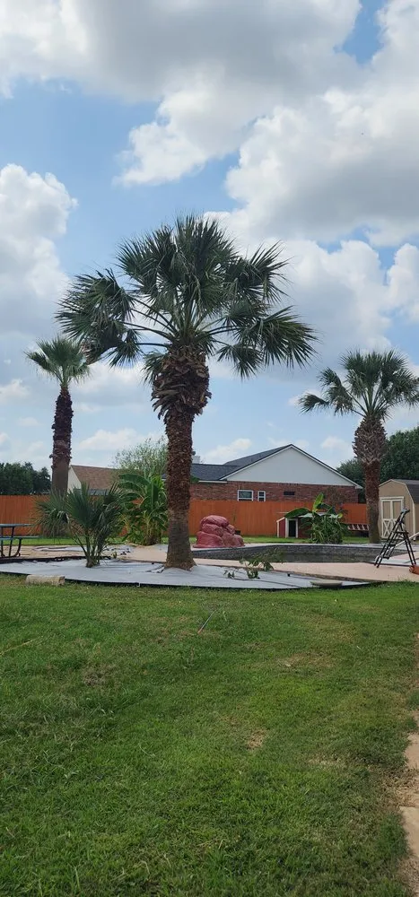 Trusted lawn mowing service near you across Manor, TX - Gladiator Tree Experts & Landscaping