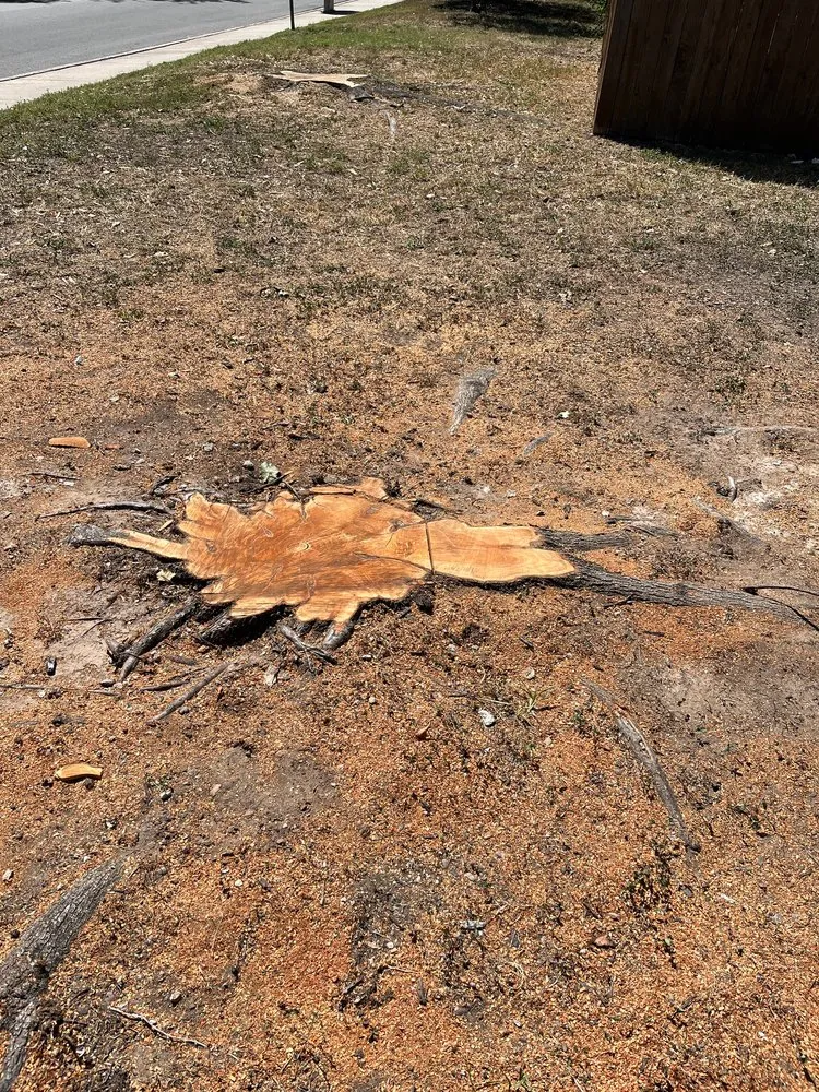 Local landscape installation near you in Manor, TX by Gladiator Tree Experts & Landscaping