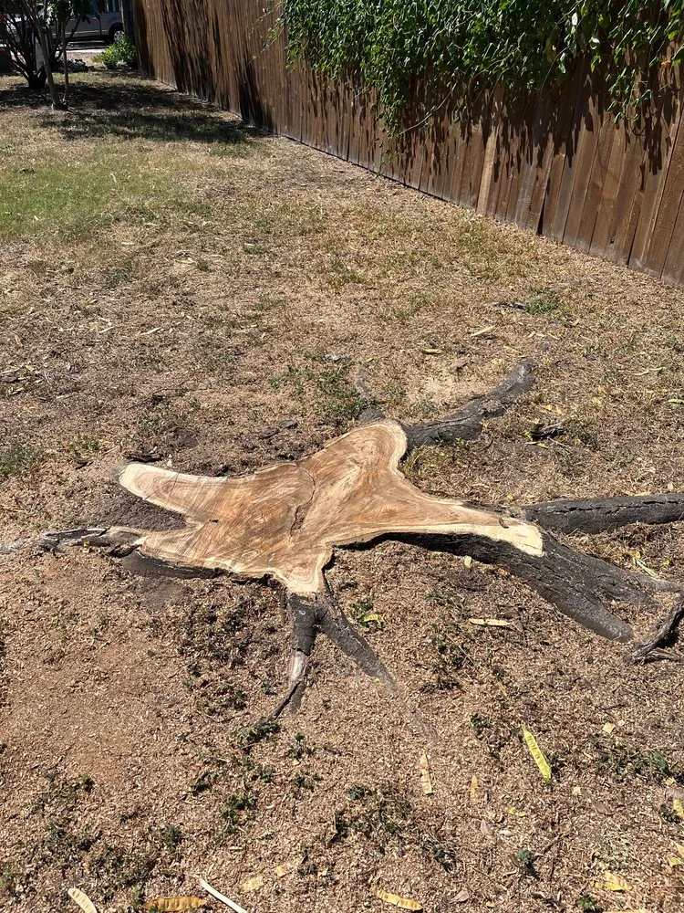 Local residential landscaping in Manor, TX by Gladiator Tree Experts & Landscaping