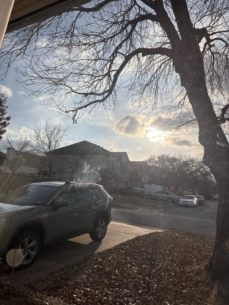 Reliable lawn mowing service experts serving Manor, TX - Gladiator Tree Experts & Landscaping