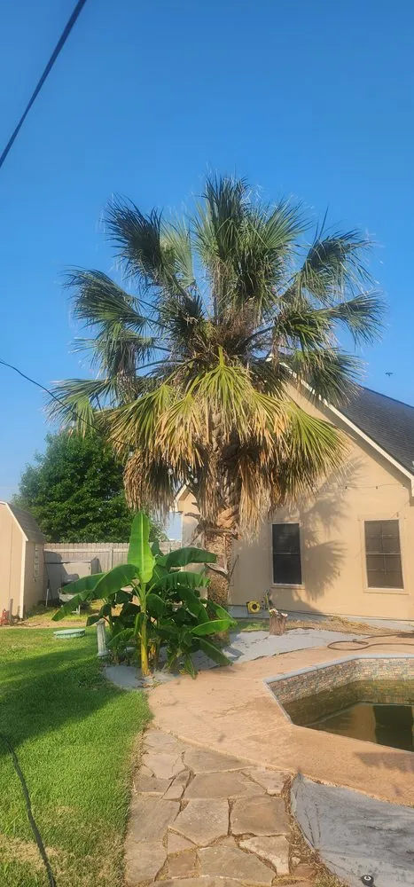 Affordable landscape design in Manor, TX - Gladiator Tree Experts & Landscaping