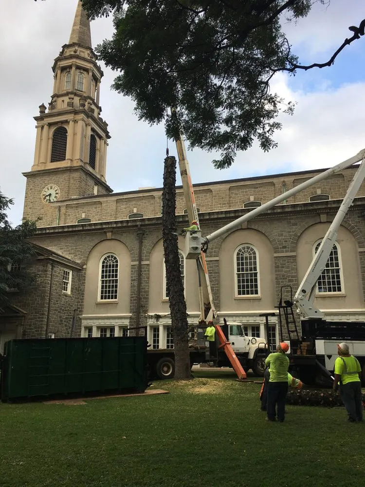 Professional lawn care service for residential properties in Honolulu, HI by Glad's Landscaping & Tree Trimming