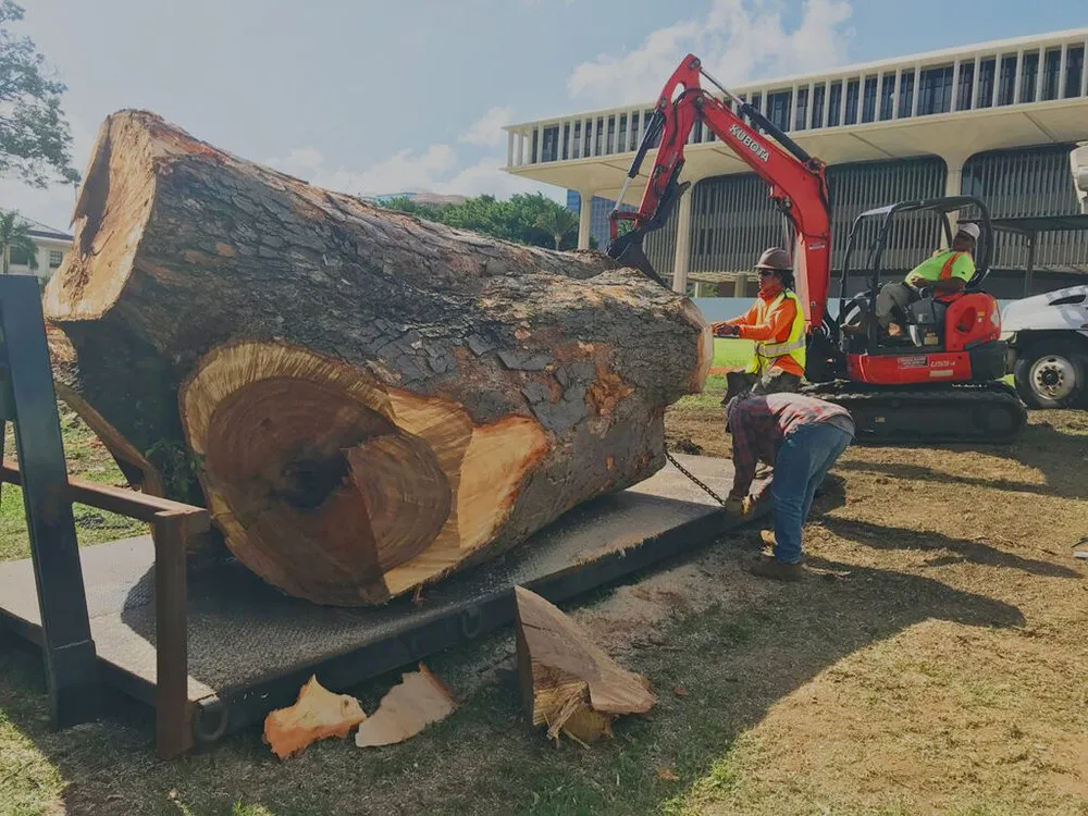 Professional garden landscaping in Honolulu, HI by Glad's Landscaping & Tree Trimming