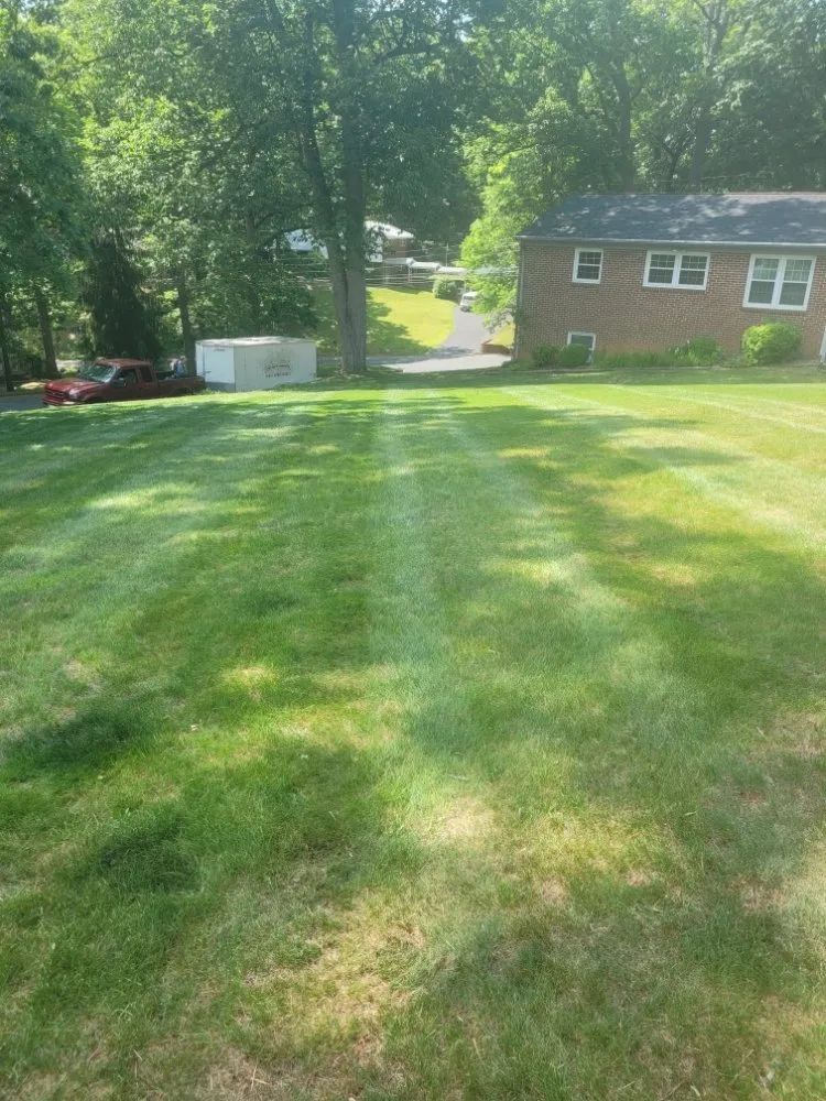 Trusted yard cleanup service in Craigsville, VA by Gladwells Lawn
