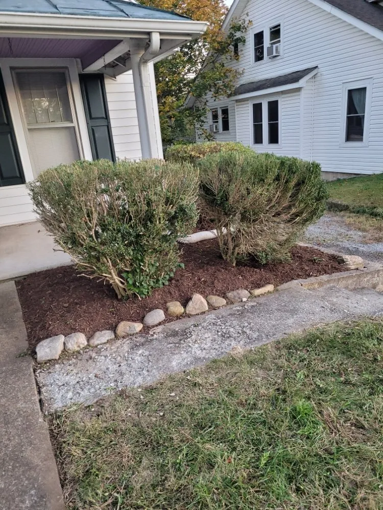 Reliable landscape design in Craigsville, VA - Gladwells Lawn