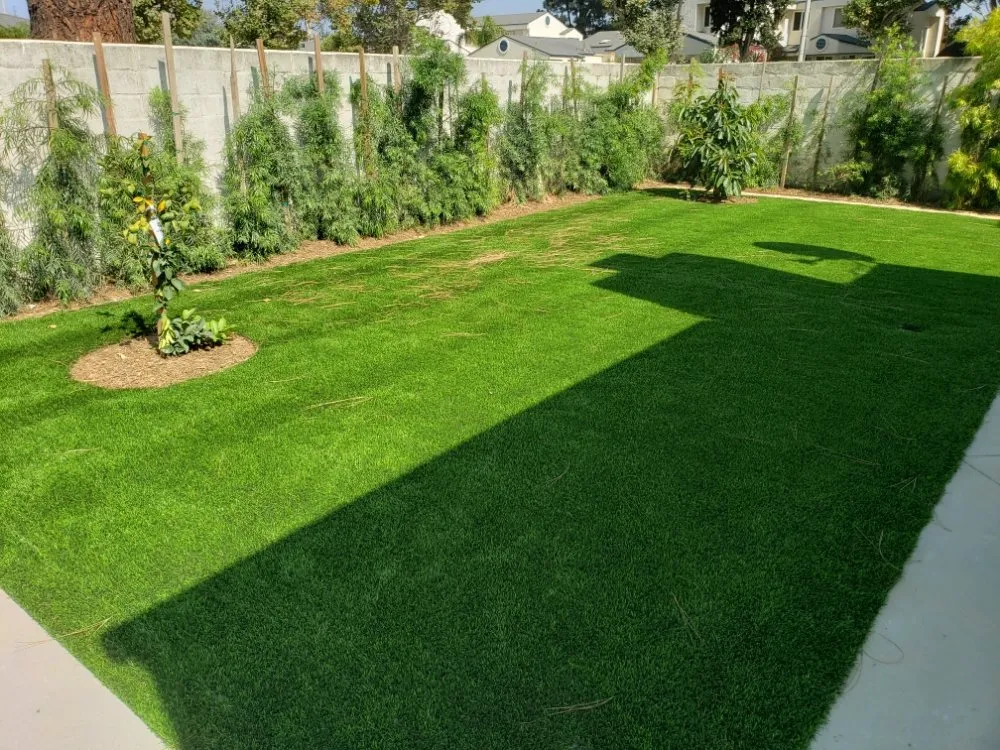 Custom yard cleanup service in Oxnard, CA - Gladys Lopez & Family landscaping & Maintenance