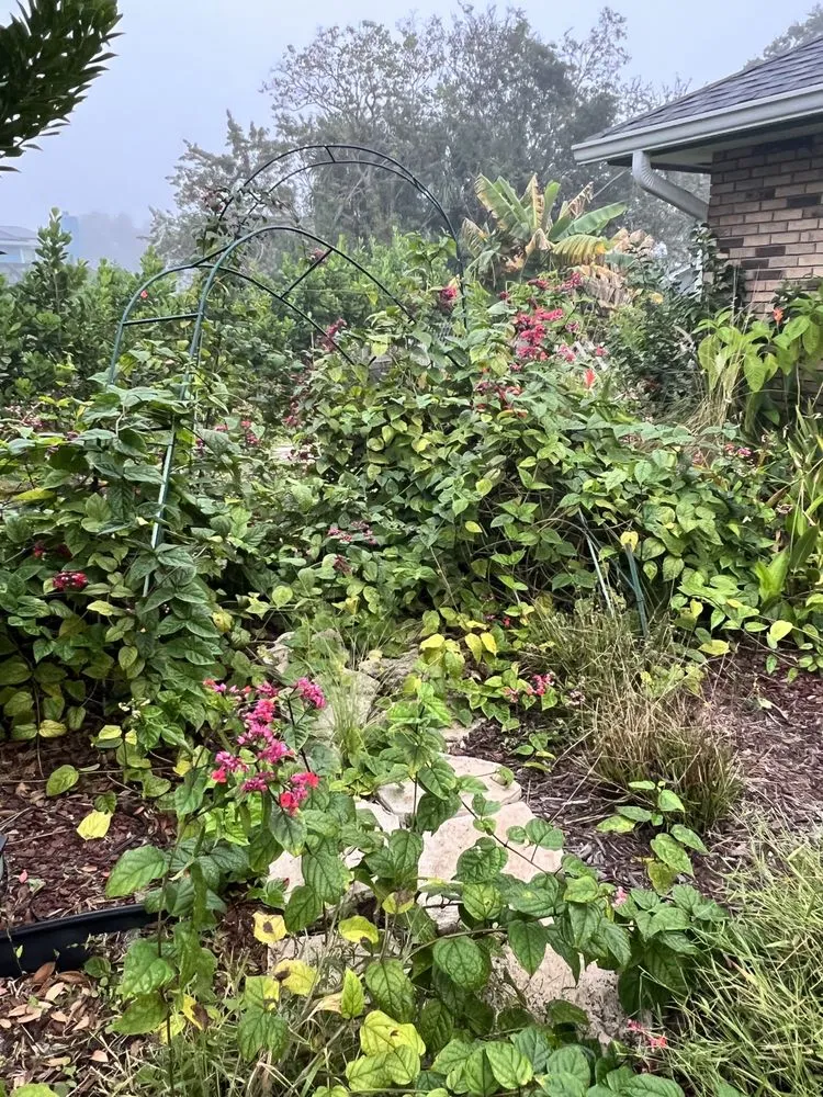 Expert landscape design for year-round maintenance across Melbourne, FL - Glamorous Lawns