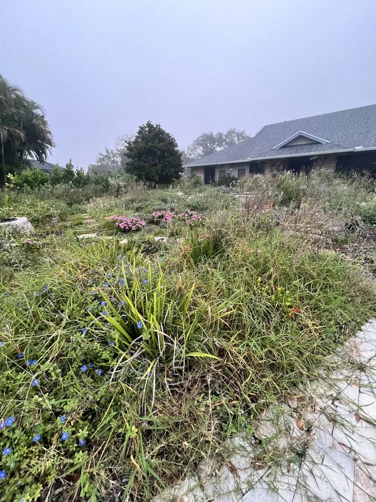 Affordable yard cleanup service for homes in Melbourne, FL by Glamorous Lawns