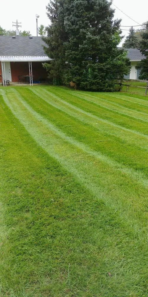 Reliable yard cleanup service in Hamilton, OH by Glancy Lawn Care