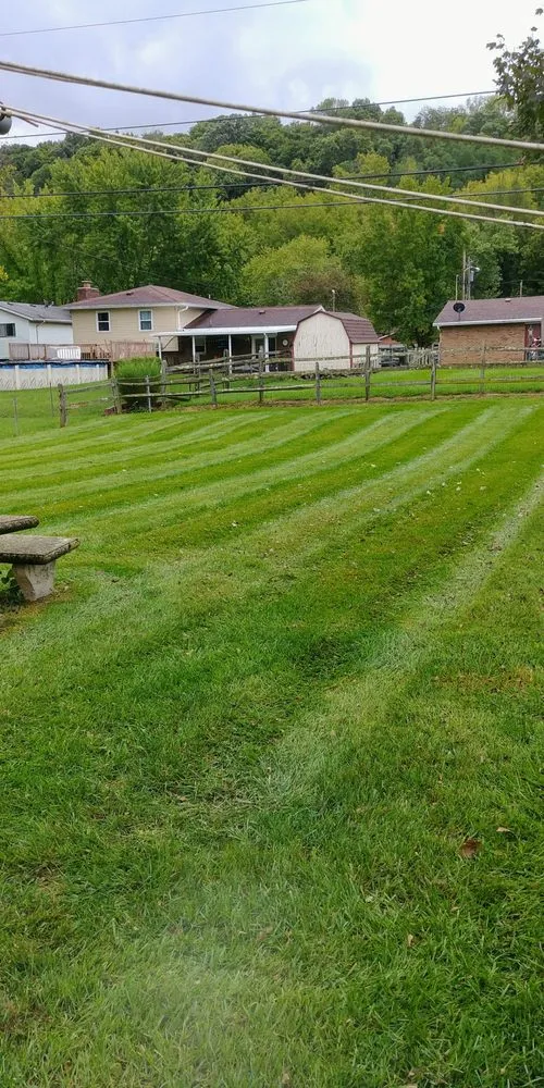Local yard cleanup service experts serving Hamilton, OH - Glancy Lawn Care