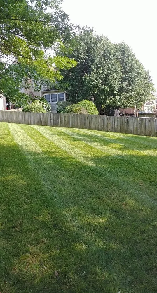 Reliable yard cleanup service for year-round maintenance across Hamilton, OH - Glancy Lawn Care