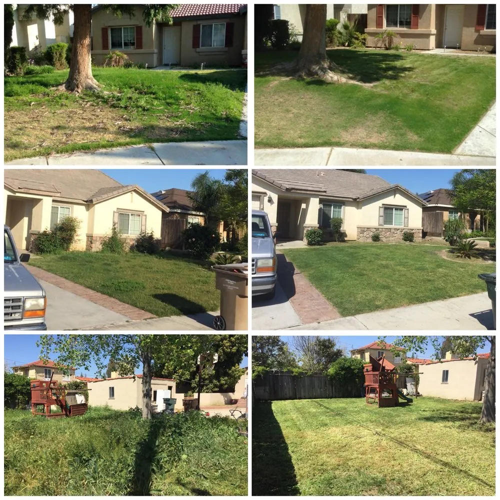 Trusted lawn care service for residential properties across Bakersfield, CA - Glasco Lawn Service
