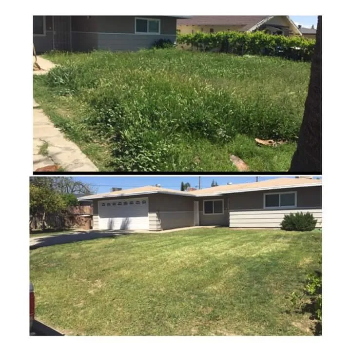 Professional yard cleanup service in Bakersfield, CA - Glasco Lawn Service