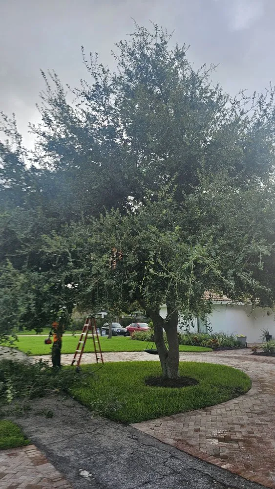 Local landscaping services in Fort Pierce, FL - Glasford Tree Trimming and Landscape