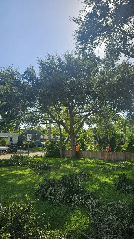 Custom residential landscaping for residential properties in Fort Pierce, FL by Glasford Tree Trimming and Landscape