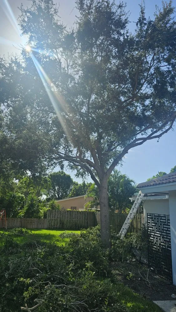 Top-rated garden landscaping in Fort Pierce, FL - Glasford Tree Trimming and Landscape