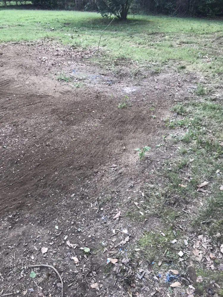 Trusted yard cleanup service in Greensboro, NC - Glass Landscaping & Hauling