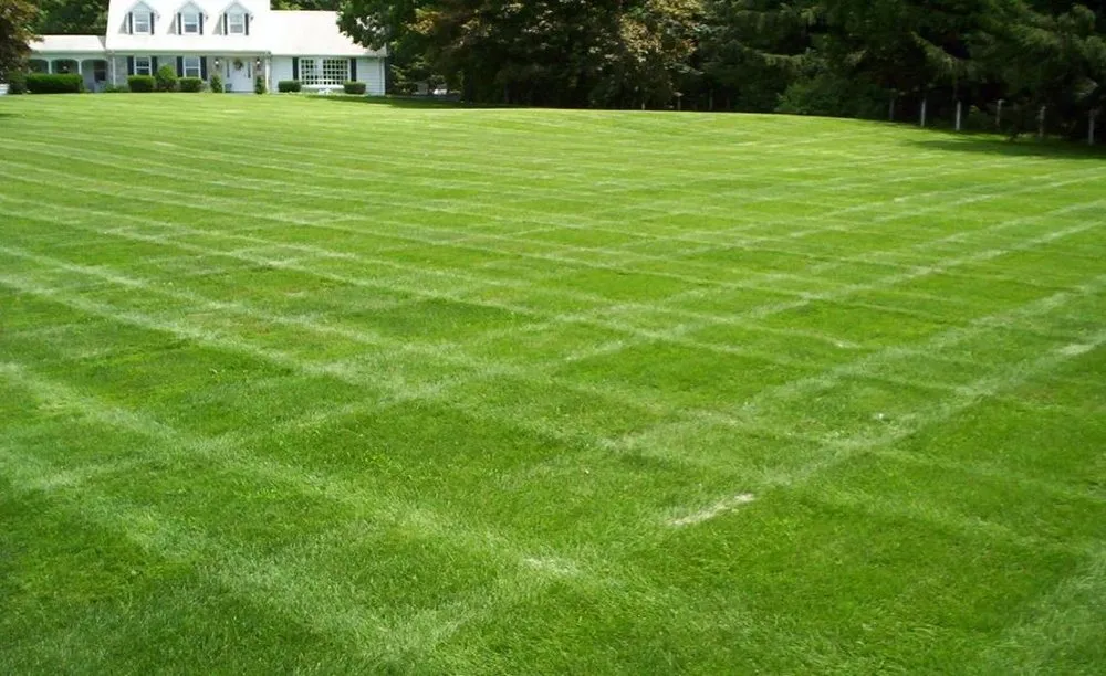 Professional outdoor landscaping experts serving Greensboro, NC - Glass Landscaping & Hauling