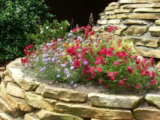 Top-rated yard maintenance in Woodstock, GA - Glasscapes