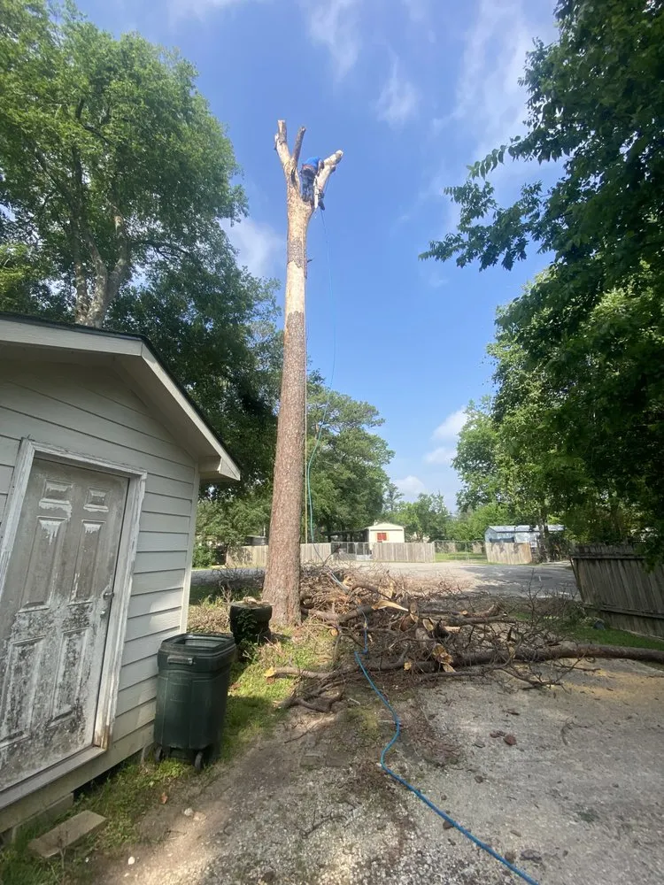 Professional lawn mowing service in Houston, TX - Glazing Handymen and Landscaping