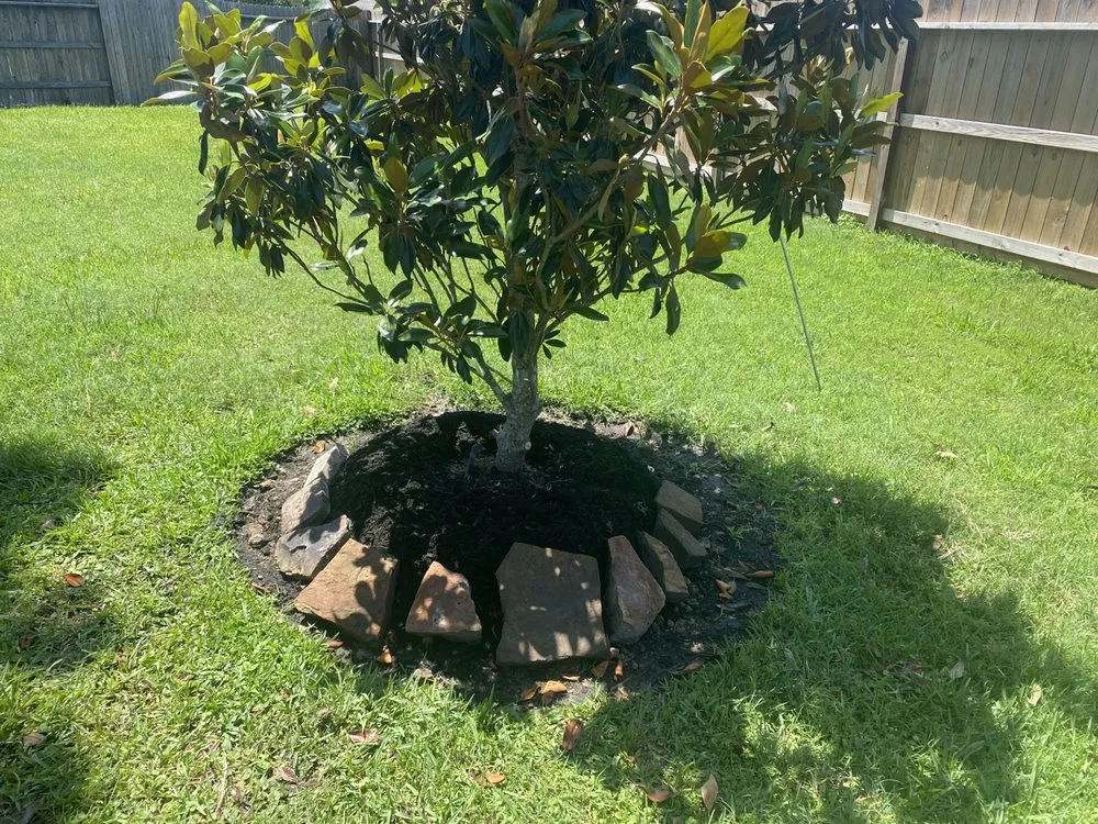 Reliable lawn mowing service in Houston, TX by Glazing Handymen and Landscaping