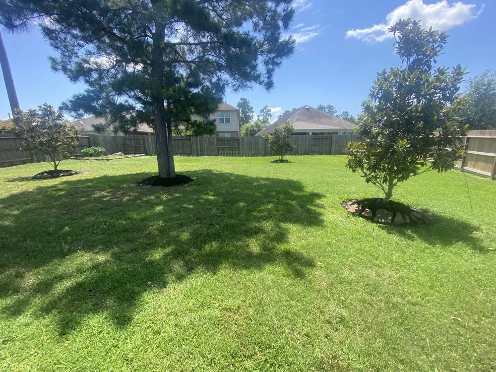 Expert landscape design in Houston, TX - Glazing Handymen and Landscaping