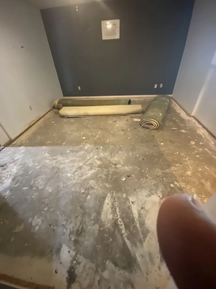 Professional outdoor landscaping in Houston, TX by Glazing Handymen and Landscaping