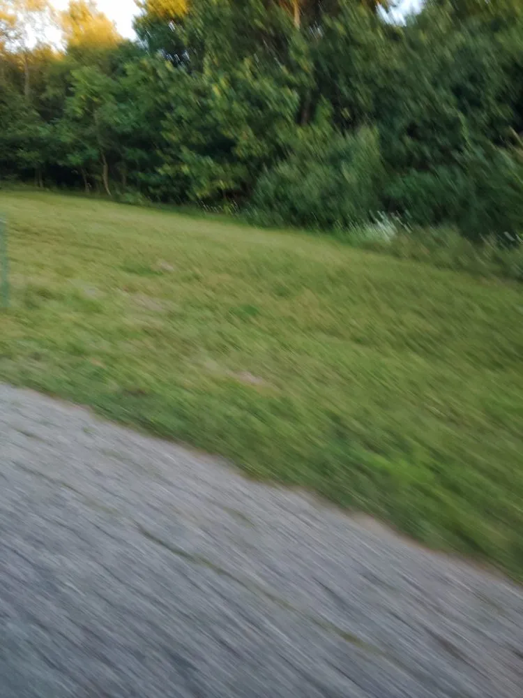 Professional lawn care service for outdoor upgrades across La Porte, IN - GLC Greg's Lawn Care