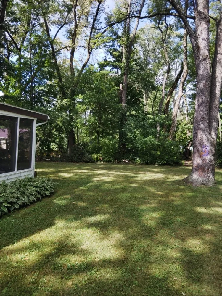 Affordable yard maintenance in La Porte, IN by GLC Greg's Lawn Care