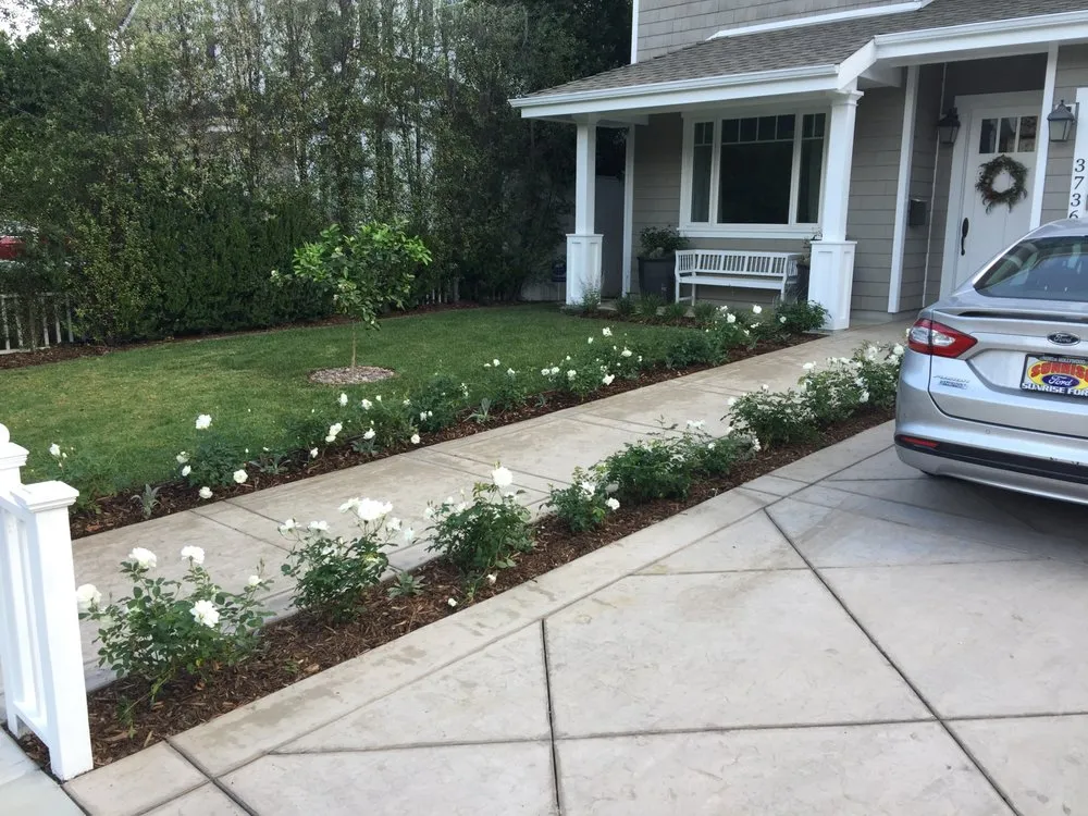 Reliable lawn care service experts serving Studio City, CA - GLD Landscape Design