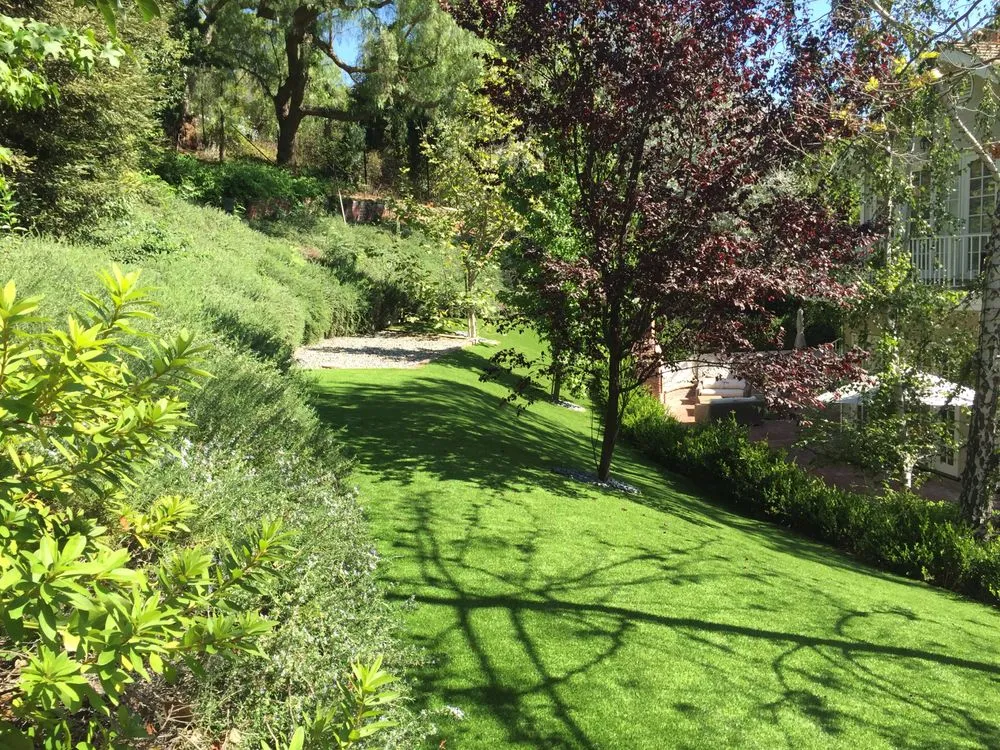 Local outdoor landscaping in Studio City, CA - GLD Landscape Design