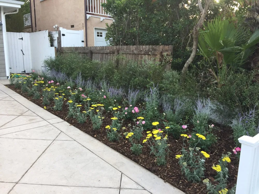 Trusted landscaping services for residential properties across Studio City, CA - GLD Landscape Design