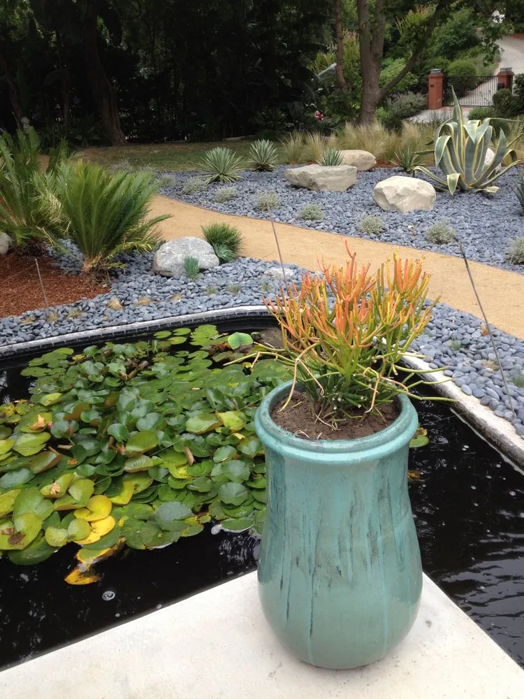 Expert yard cleanup service for homes across Studio City, CA - GLD Landscape Design